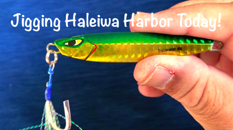 Haleiwa Harbor Cover.png